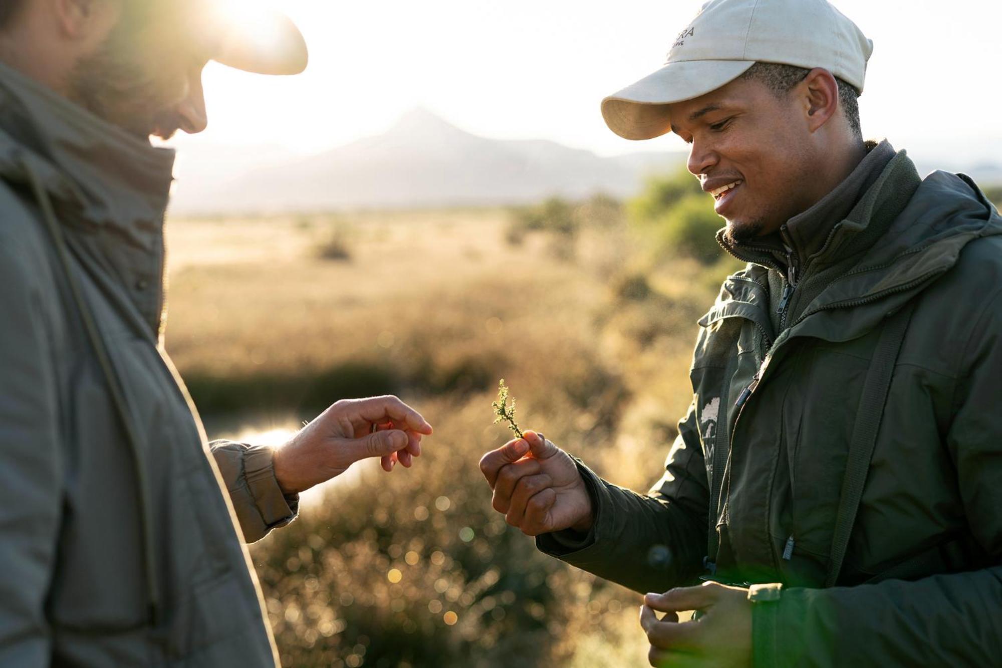 Samara Karoo Reserve Graaff-Reinet Exteriör bild