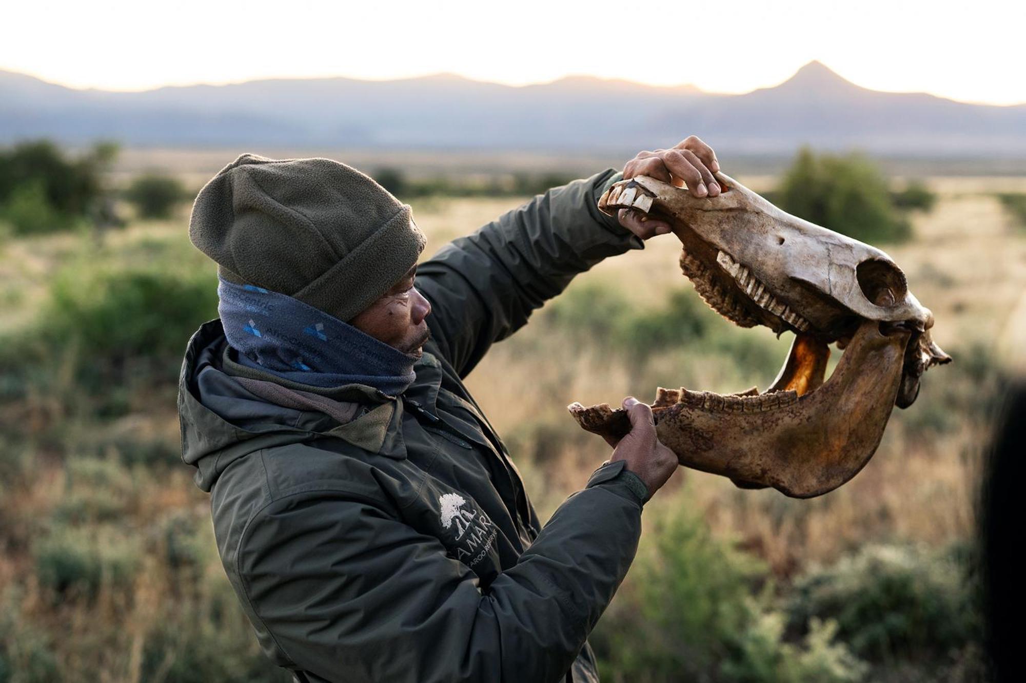 Samara Karoo Reserve Graaff-Reinet Exteriör bild