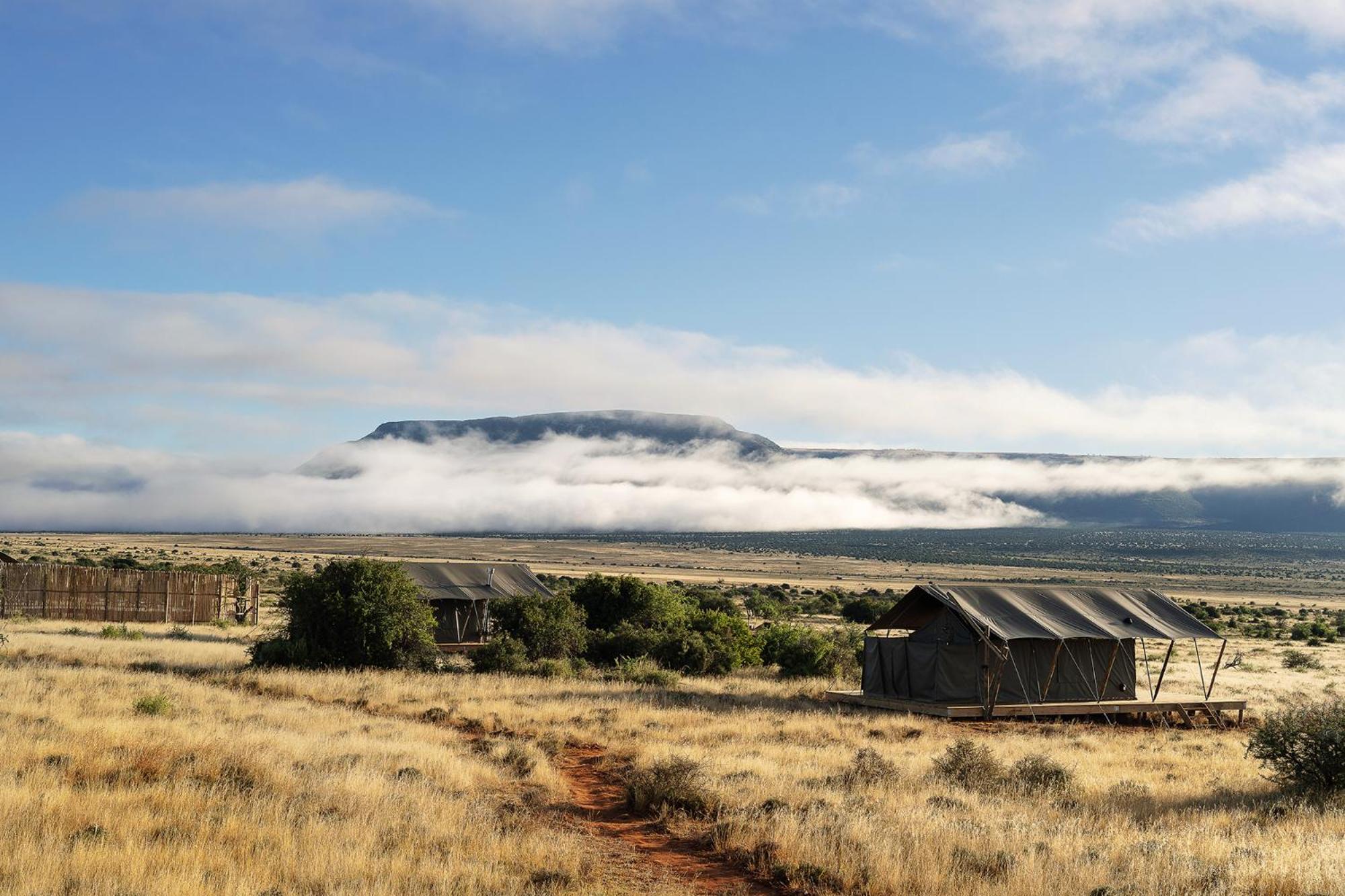 Samara Karoo Reserve Graaff-Reinet Exteriör bild